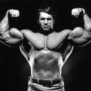 schwarzenegger
