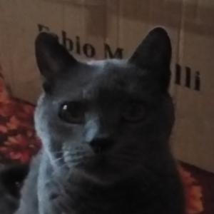 QQ.